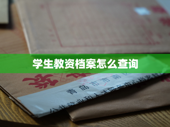 学生教资档案怎么查询