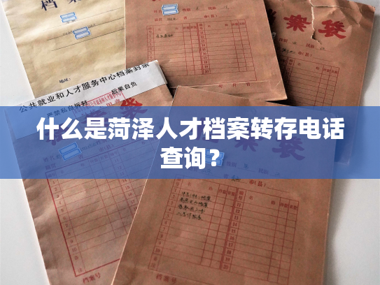 什么是菏泽人才档案转存电话查询？