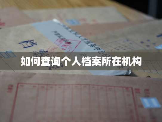 如何查询个人档案所在机构