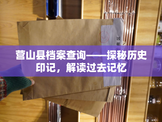 营山县档案查询——探秘历史印记，解读过去记忆