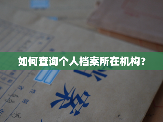如何查询个人档案所在机构？