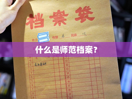 什么是师范档案？