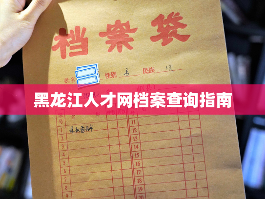 黑龙江人才网档案查询指南