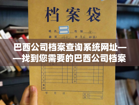 巴西公司档案查询系统网址——找到您需要的巴西公司档案信息