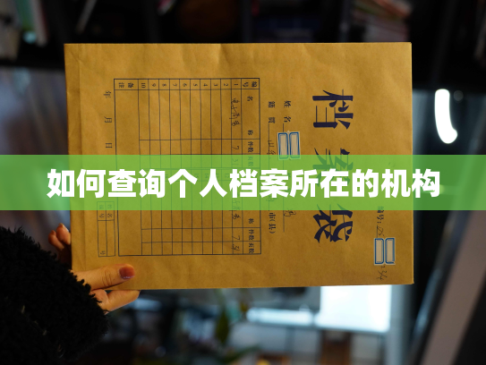 如何查询个人档案所在的机构