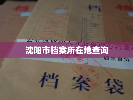沈阳市档案所在地查询