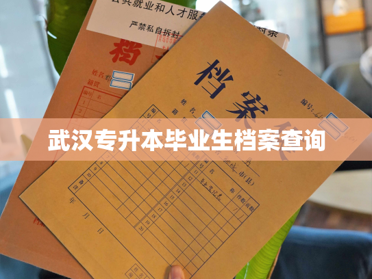 武汉专升本毕业生档案查询