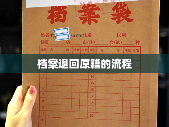 档案退回原籍的流程