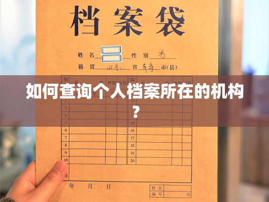 如何查询个人档案所在的机构？