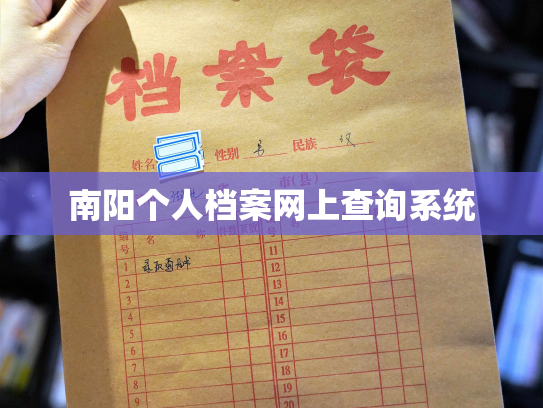 南阳个人档案网上查询系统