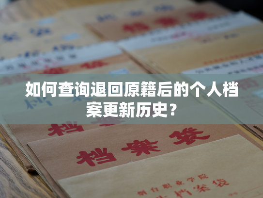 如何查询退回原籍后的个人档案更新历史？
