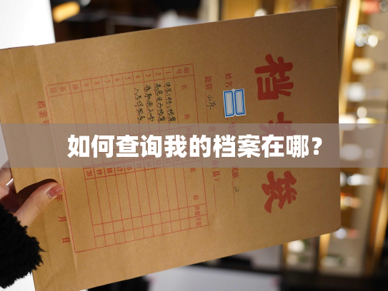 如何查询我的档案在哪？