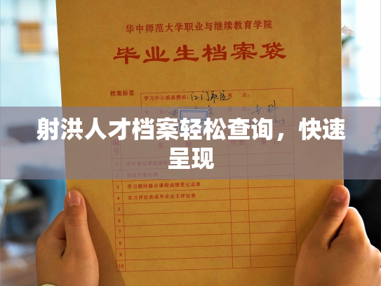 射洪人才档案轻松查询，快速呈现