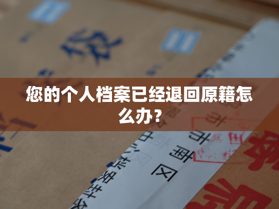 您的个人档案已经退回原籍怎么办？