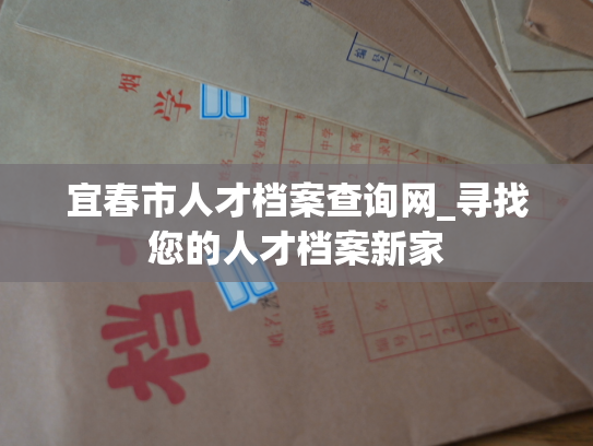 宜春市人才档案查询网_寻找您的人才档案新家