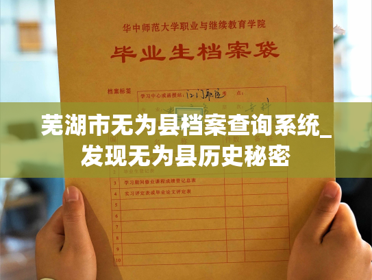 芜湖市无为县档案查询系统_发现无为县历史秘密