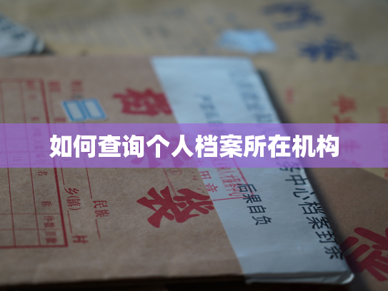 如何查询个人档案所在机构