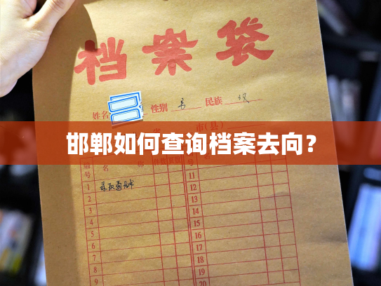 邯郸如何查询档案去向？