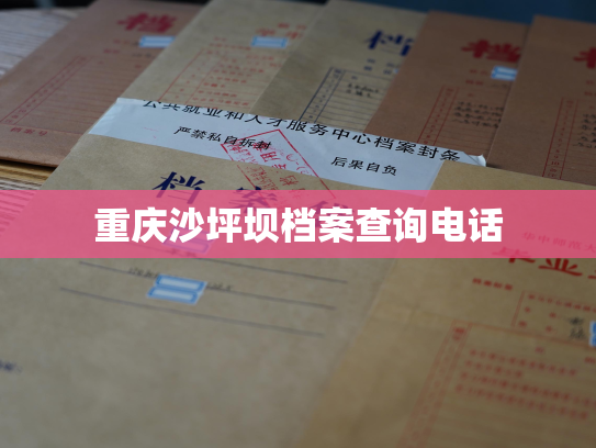 重庆沙坪坝档案查询电话