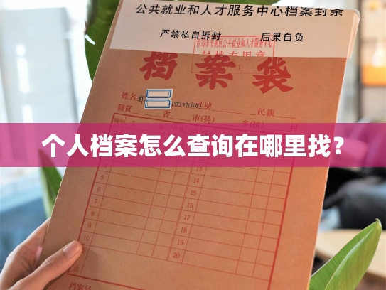 个人档案怎么查询在哪里找？