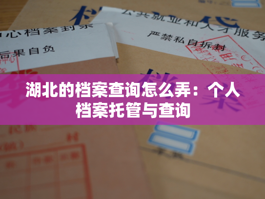 湖北的档案查询怎么弄：个人档案托管与查询