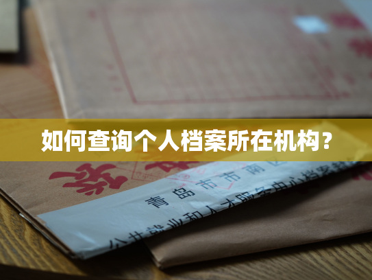 如何查询个人档案所在机构？