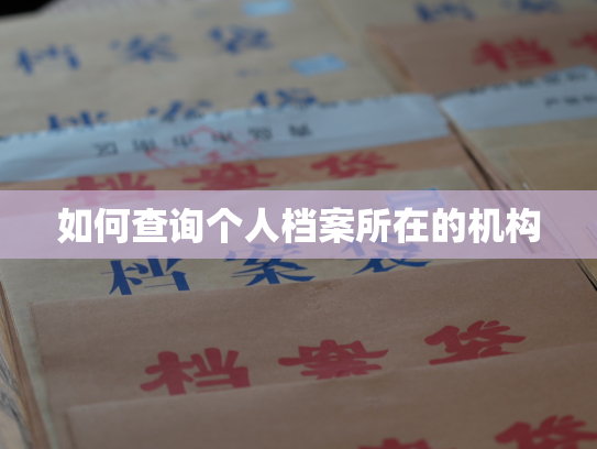 如何查询个人档案所在的机构
