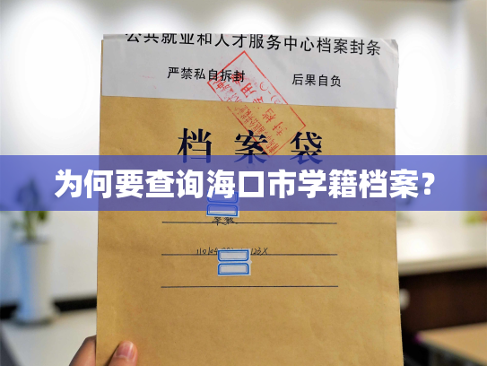 为何要查询海口市学籍档案？