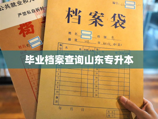 毕业档案查询山东专升本