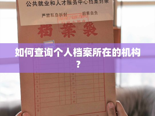 如何查询个人档案所在的机构？