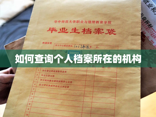 如何查询个人档案所在的机构