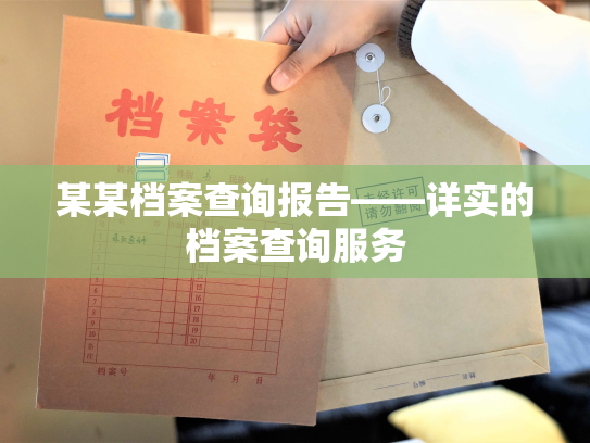 某某档案查询报告——详实的档案查询服务