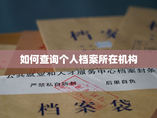 如何查询个人档案所在机构