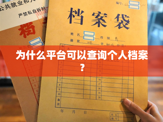 为什么平台可以查询个人档案？