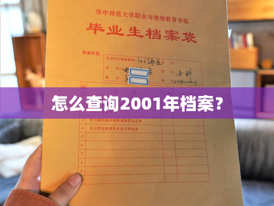 怎么查询2001年档案？