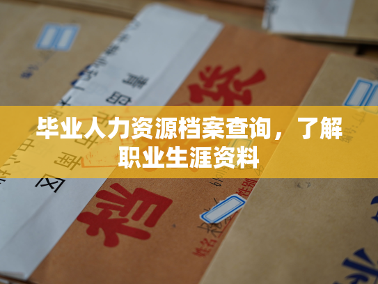 毕业人力资源档案查询，了解职业生涯资料
