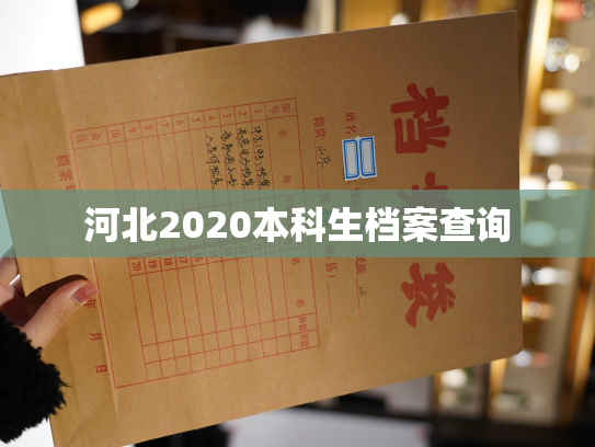 河北2020本科生档案查询