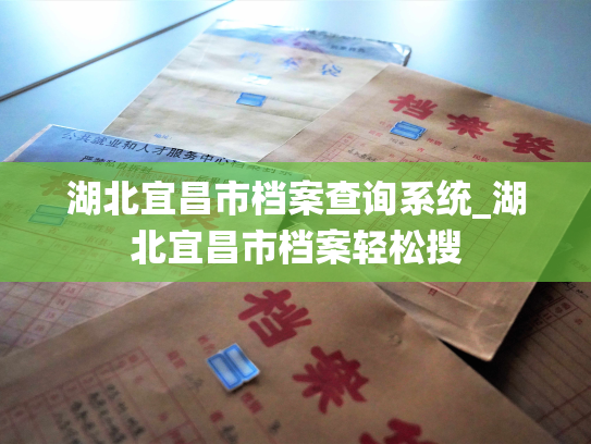 湖北宜昌市档案查询系统_湖北宜昌市档案轻松搜