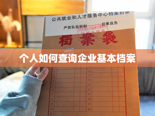 个人如何查询企业基本档案