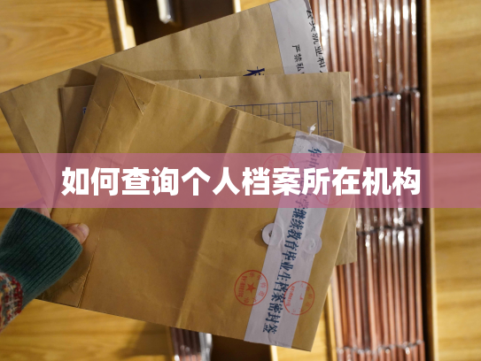 如何查询个人档案所在机构