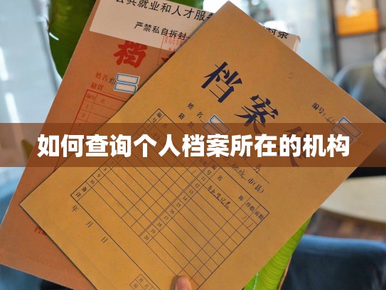 如何查询个人档案所在的机构