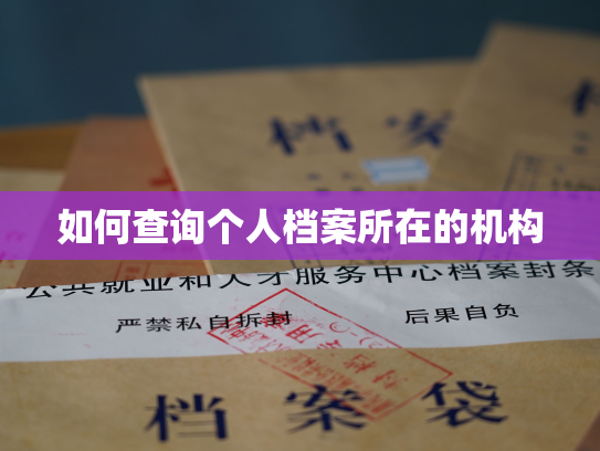 如何查询个人档案所在的机构