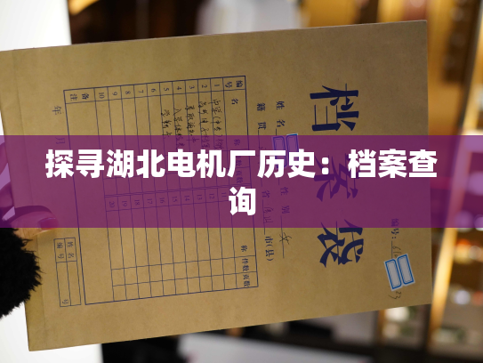 探寻湖北电机厂历史：档案查询