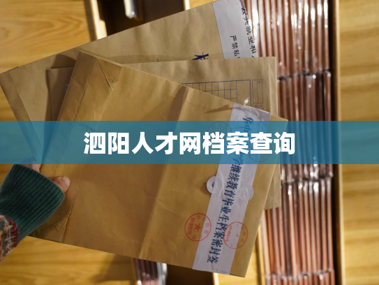 泗阳人才网档案查询
