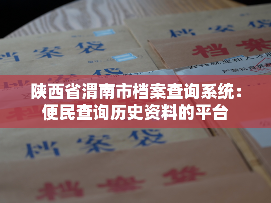 陕西省渭南市档案查询系统：便民查询历史资料的平台