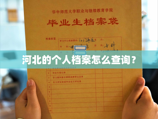河北的个人档案怎么查询？