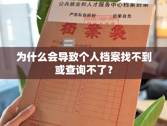 为什么会导致个人档案找不到或查询不了？