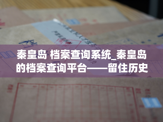 秦皇岛 档案查询系统_秦皇岛的档案查询平台——留住历史记忆的窗口