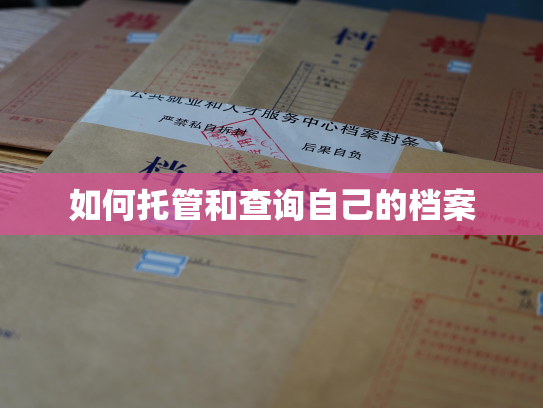 如何托管和查询自己的档案