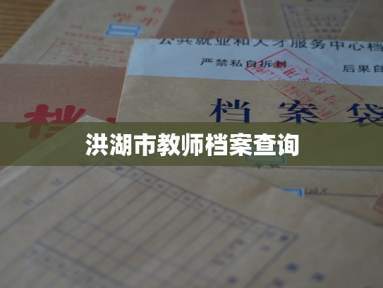洪湖市教师档案查询